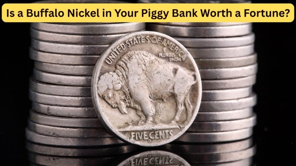Is a Buffalo Nickel in Your Piggy Bank Worth a Fortune?