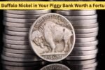 Is a Buffalo Nickel in Your Piggy Bank Worth a Fortune?